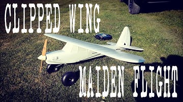 MULTIPLEX FUNCUB | CLIPPED WING CUSTOM BUILD | MAIDEN FLIGHT