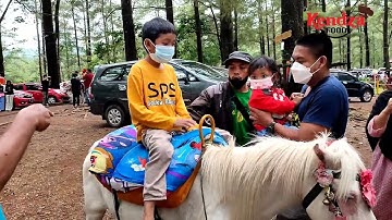 NANGIS Tapi SENANG  Naik Kuda di Hutan Pinus Malino
