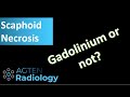 Scientific studies on Gadolinium MRI for Scaphoid non-union assessment