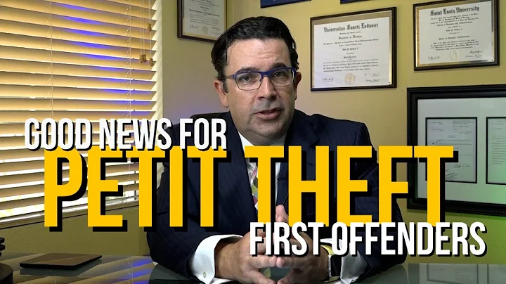 Good News for Petit Theft First Offenders