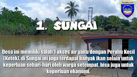 #KKNDR #UINRIL POTENSI EKONOMI DESA GUNUNG TERANG KEC MADANG SUKU 1, KAB. OKU TIMUR