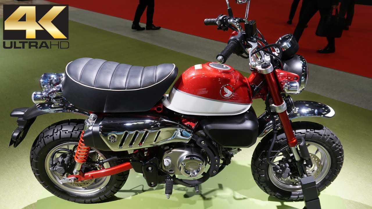 2020 HONDA MONKEY 125 ABS - Honda Monkey 125 ABS 2020 - 新型