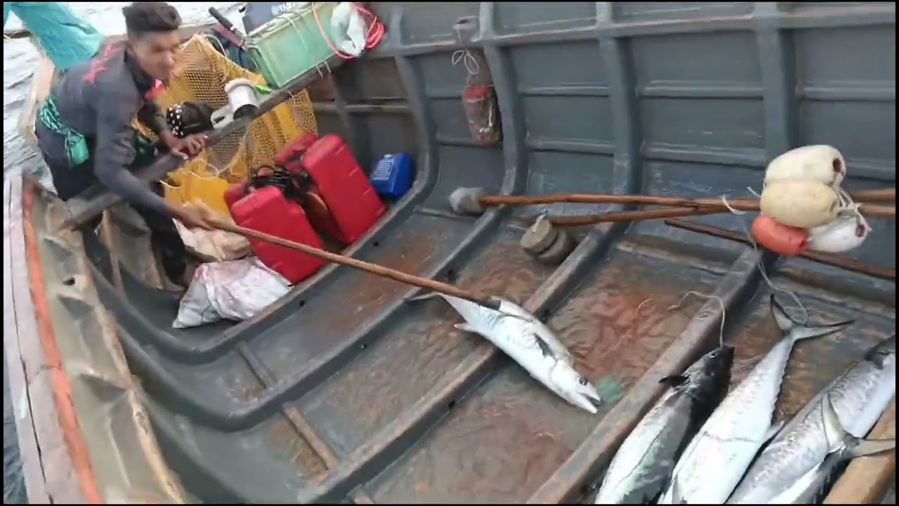 Haw To Surmai Fish Videos Mangrol Bara Deep sea fishing trips