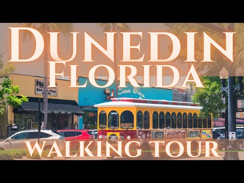 Fun Things to Do in Dunedin | Travel Guide (2024) | Best Places to Visit