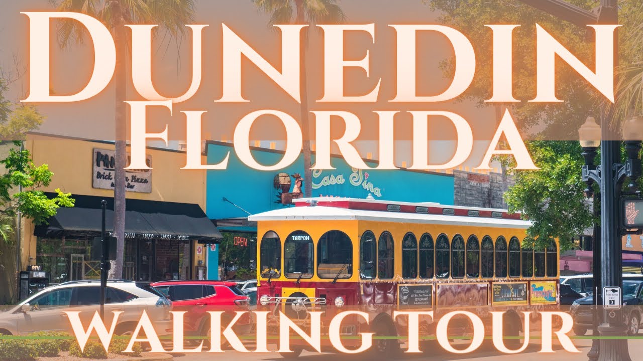day trips from dunedin florida