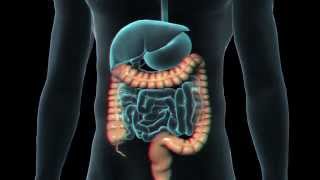 Colonoscopy and Flexible Sigmoidoscopy