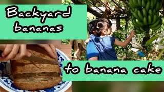 Healthy Easy Kid favourite dessert or snack | No sugar banana cake | Bread Maker Recipe Morgan