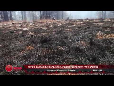 Видео: Хүний хайхрамжгүй байдлаас болж гал гарч байна