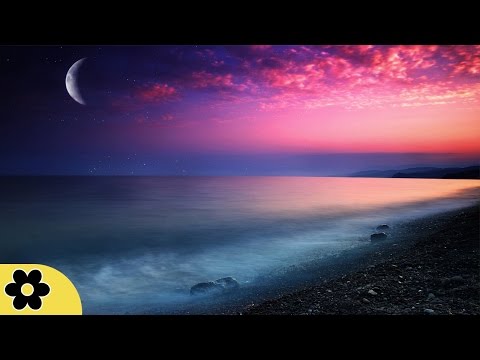 8 Hour Sleeping Music, Calming Music, Music For Stress Relief, Relaxation Music, Sleep Music, ✿454C