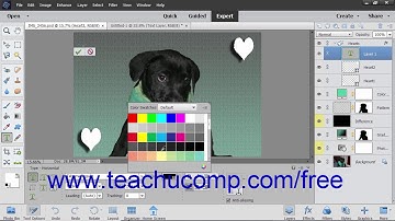 Photoshop Elements 2019 Tutorial Text Basics Adobe Training