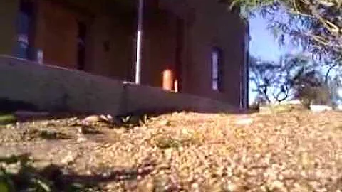 Kenny mcdaniel scootin