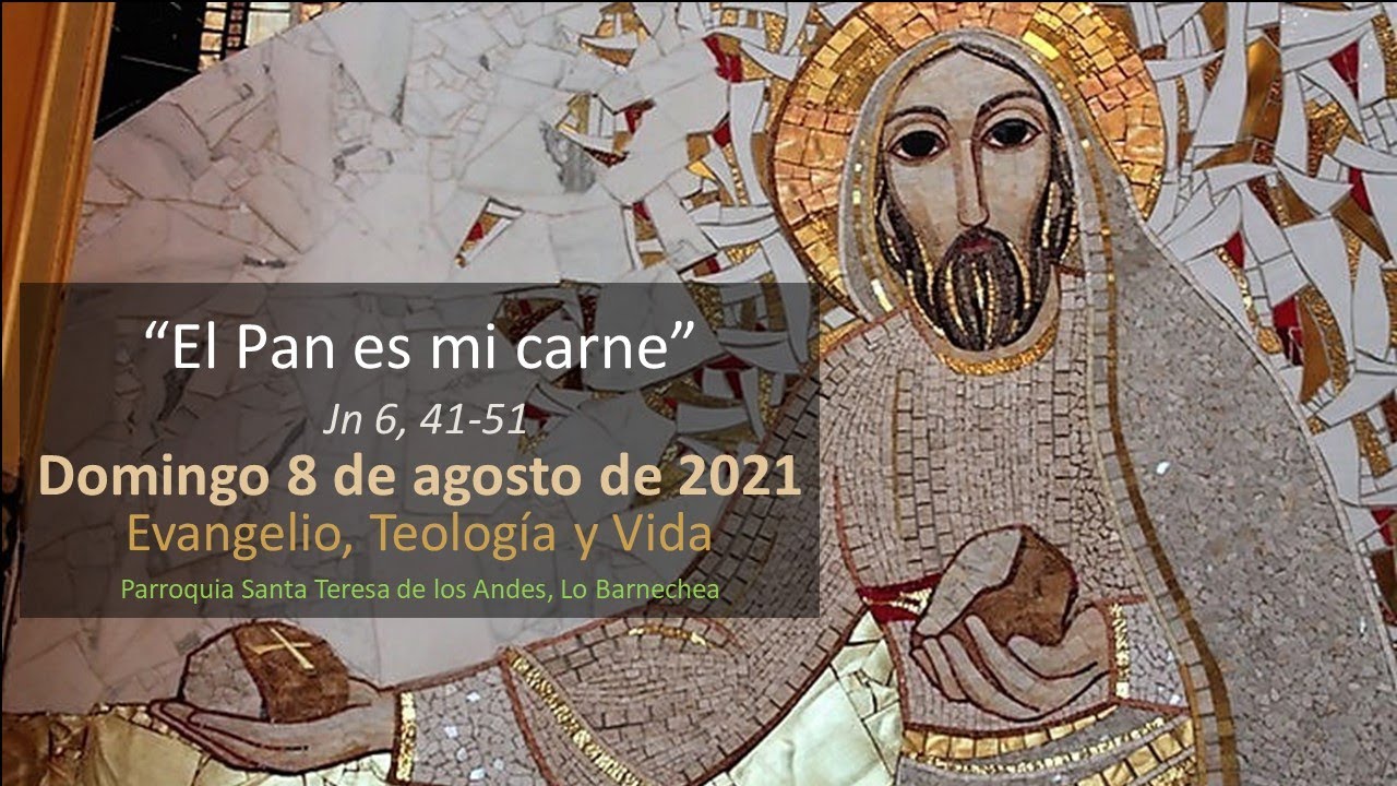 Evangelio Del 8 De Agosto 2021