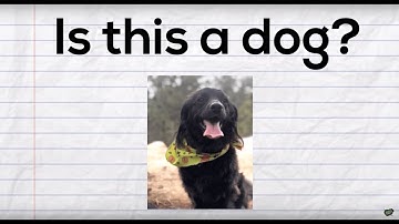 Yes | Core Vocabulary Song