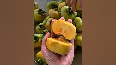 Hồng giòn vuông Nhật Bản, hồng fuyu, hồng fuji, chín ăn trực tiếp luôn không cần ngâm