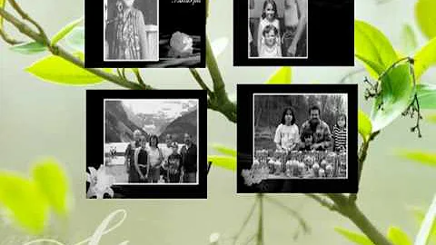 Perry Hubbs DVD entry
