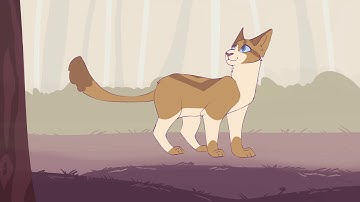 GHOST|| Aesthetic Medicine Cat Map|| PART 16