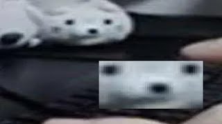 cookiezi leaked osu finger control footage (( ["*scary*")()