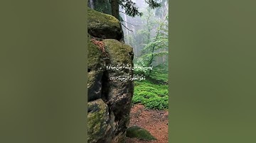 سورة يونس من آية ١٠٤ وحتى آية ١٠٩ - عبدالعزيز المعجل -