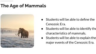 Intro to the Cenozoic Era - The Age of Mammals!