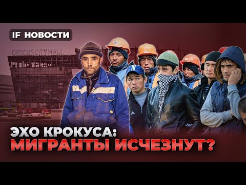 Мигранты исчезнут из