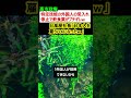 高市政権、特定技能の外国人受け入れ停止で日高屋社長ブチギレ→「日本人を雇うハメになったw 」