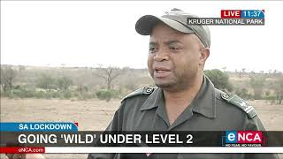 Going wild under level 2 | Kruger National Park