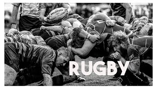 Sportovní fotografie - rugby, černobílá Sportovní fotografie - rugby, černobílá