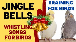 Jingle Bells with Whistling  Christmas Song with Whistling  Songs for Cockatiels,Bird,Budgies,