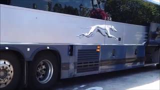 GREYHOUND PREVOST X345 BUS ARRIVAL with IDLE