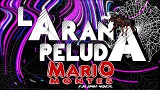 LA ARAÑA PELUDA - MARIO MONTES