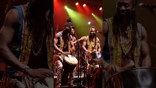 When Reggae Meets Raw Energy… Magic Happens ✨#shorts