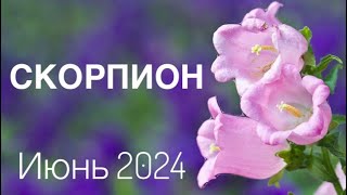 Скорпион ♏️ ИЮНЬ 2024 года 🍀🔮🗝☀️Таро Ленорман прогноз предсказание