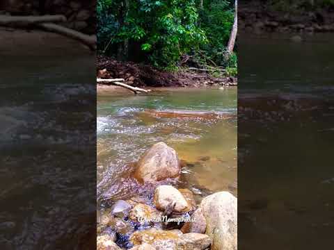 Lubuk Tupah Waterfall, Malaysia.