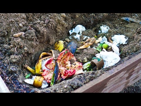 Video: Tranšejas kompostēšanas metode - kā kompostēt zemē esošā bedrē