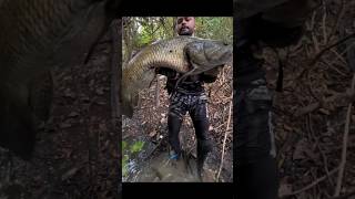 Maior Trairão Que Já Vi Na Vida