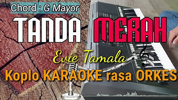 TANDA MERAH - Evie Tamala Versi Koplo KARAOKE rasa ORKES Yamaha PSR S970