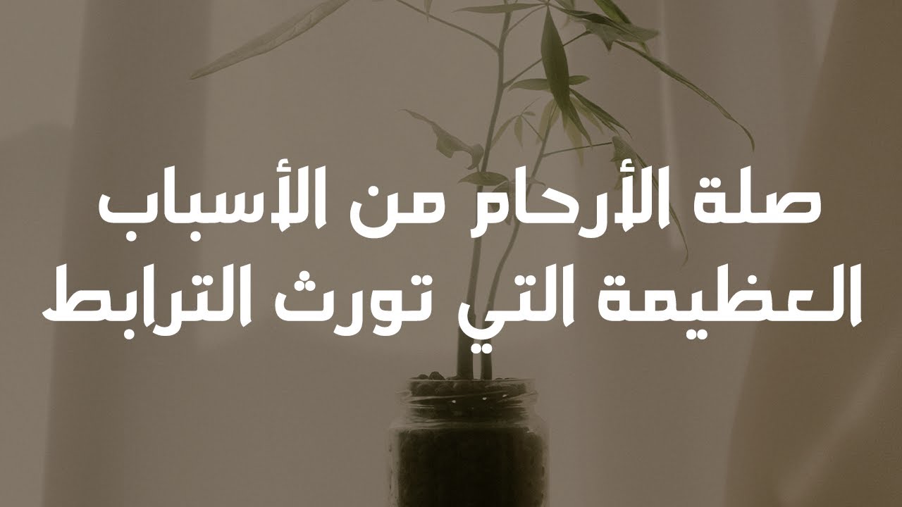 صلة الأرحام من الأسباب العظيمة التي تورث الترابط - الشيخ د. محمد بن هادي المدخلي