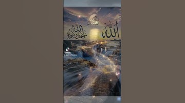 قران كريم تلاوة خاشعه #duet #القزابري #المصحف #دويتو #اكسبلور #تيك_توك #الرحمن