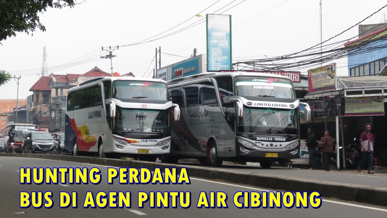  Bus  Compilation Hunting Perdana di Agen Pintu  Air 