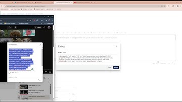 Canvas Embed Videos, Images, Arranging, and Resizing