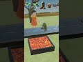 Squid Game Doll Younghee vs. Italian Brainrot Character