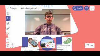 Ap Bio Proxet 1 - Steinberger, Richie, Graeme