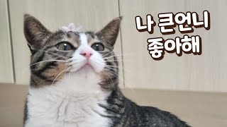 보름이가 큰언니를 좋아하게 됐어요!! 이런 적이 없었는데