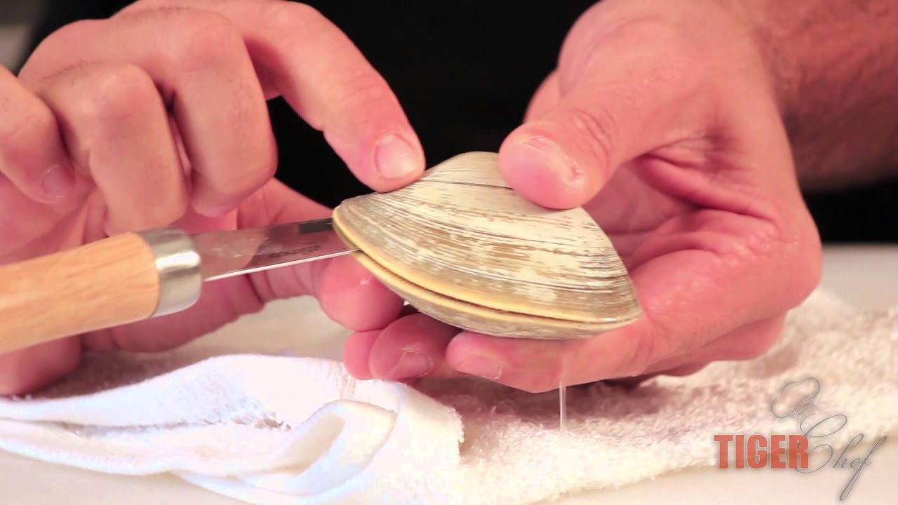 Winco Oyster/Clam Knife Showcased by Chef Dangoor TigerChef YouTube