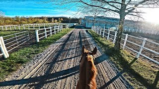 STUNNING 70 Km/H Fast Gallop training Procedure Routine | Pretorian | GoPro