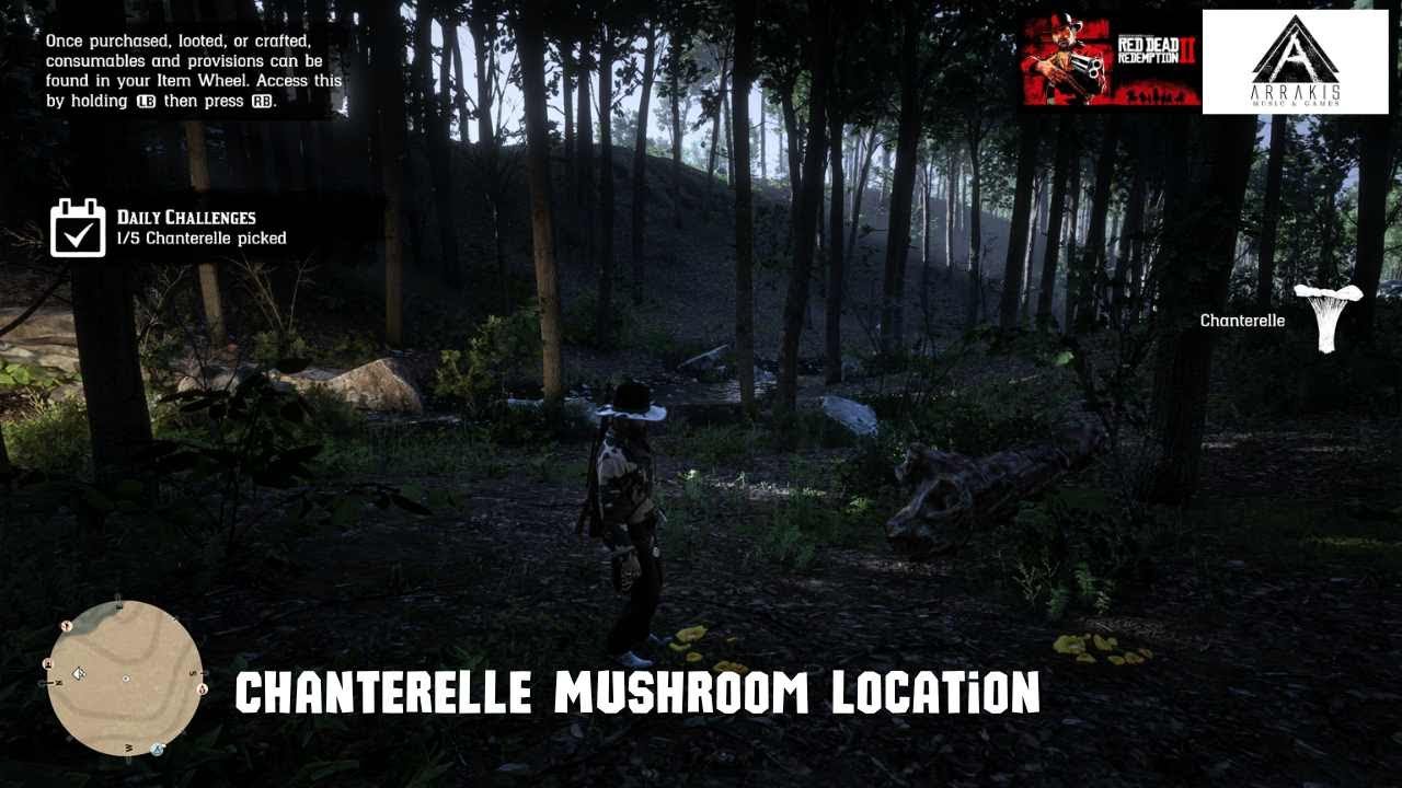 Red Dead Redemption 2 Chanterelle Mushroom Location YouTube