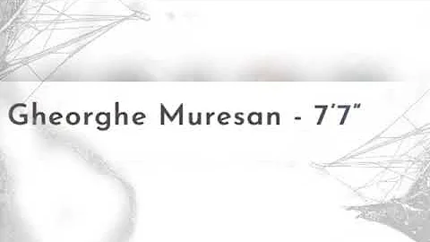 Top 10 tallest players in NBA history