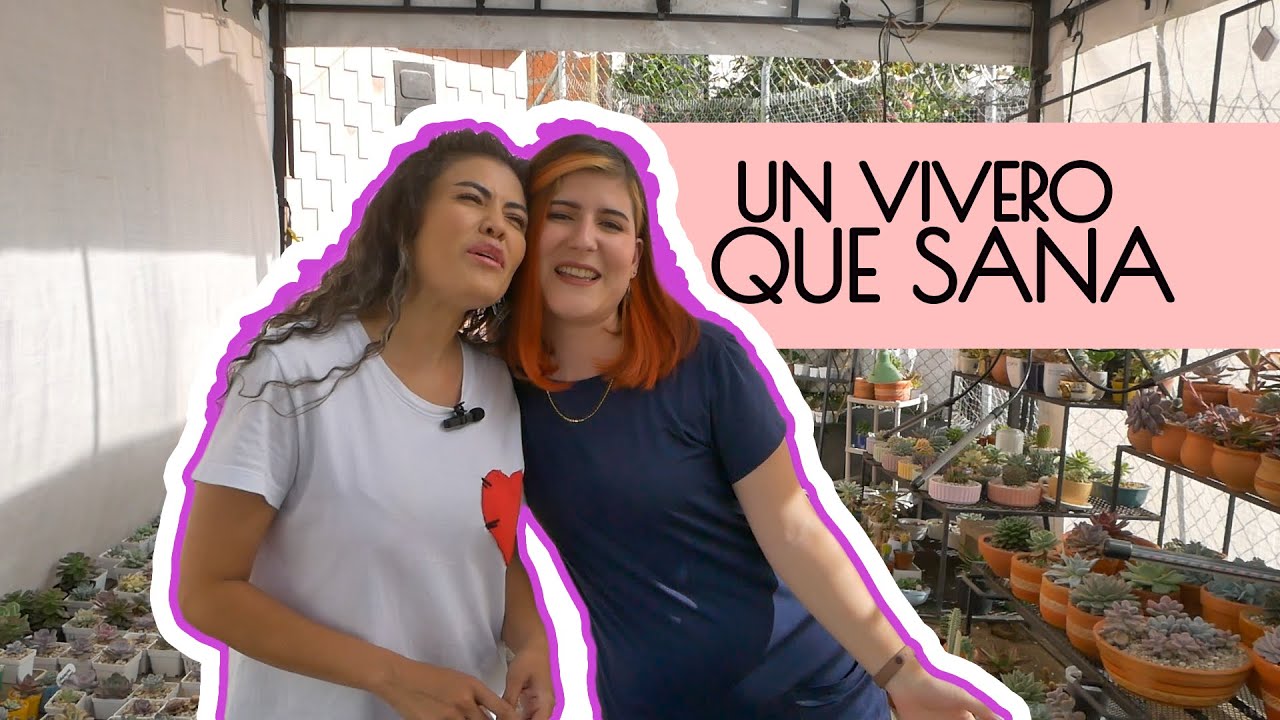 VIVERO PLANTA Y SANA /recorrido por SUCULENTAS /Parte 1