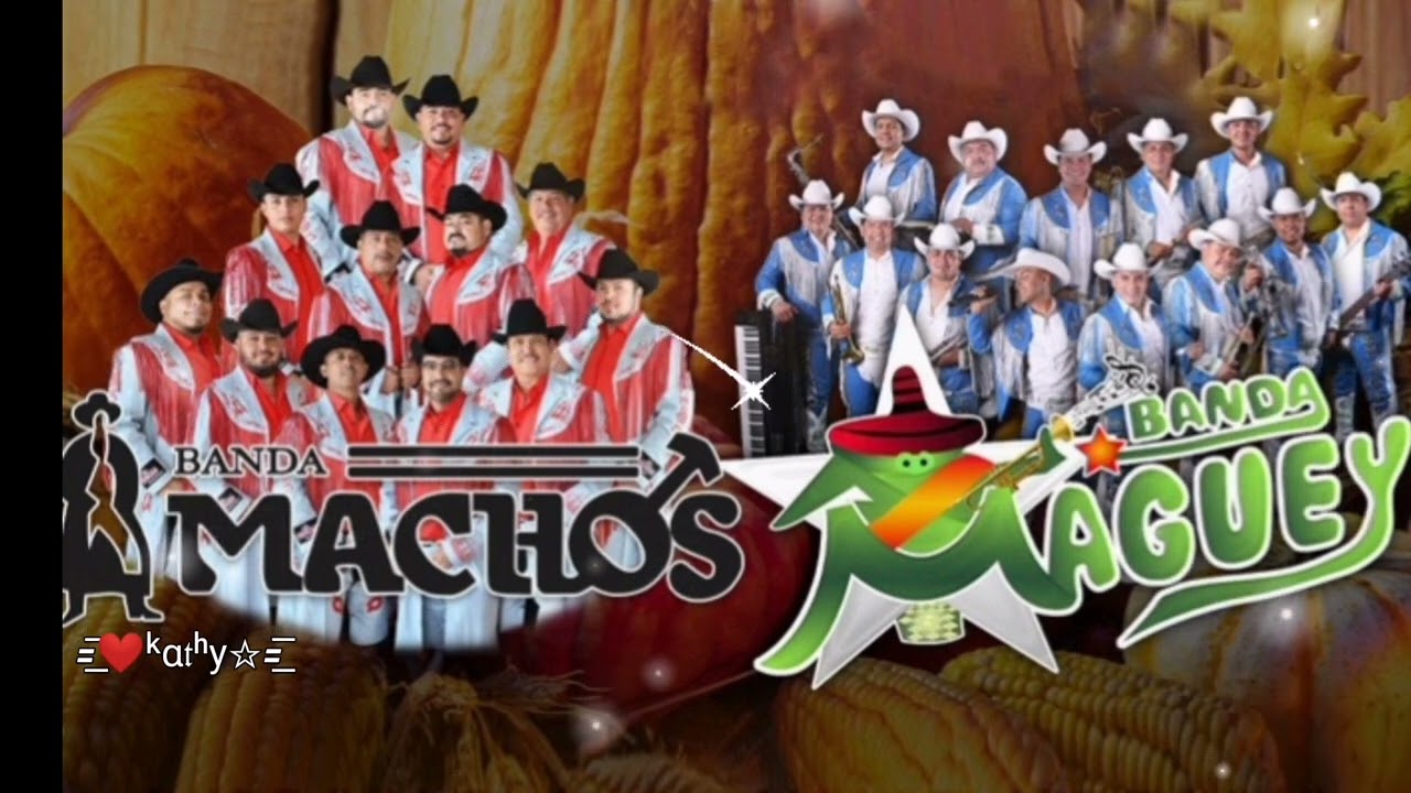 Banda MACHOS -VS-☆Banda MAGUEY Éxitos Románticos