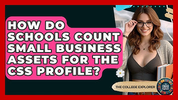 How Do Schools Count Small Business Assets For The CSS Profile? - The College Explorer